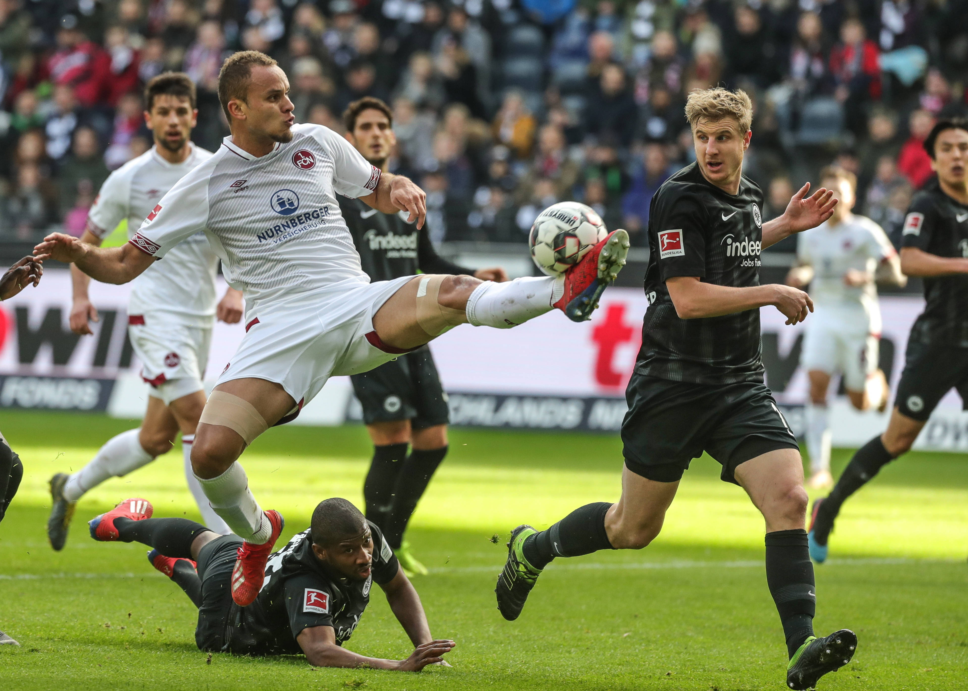 往往具备鲜 往往具备鲜