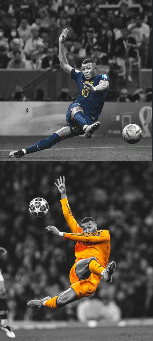 友反向横传 友反向横传