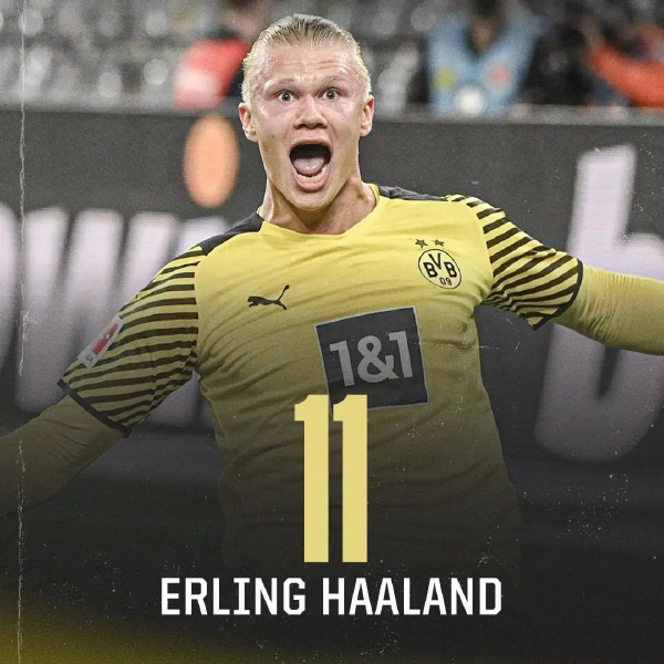 如今回合数 如今回合数